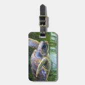 Étiquette À Bagage Belle natation de tortue marine (Devant Vertical)