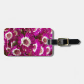 Étiquette À Bagage Belles fleurs de Cineraria violette (Devant horizontal)