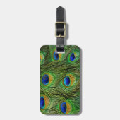 Étiquette À Bagage Belles plumes de paon (Devant Vertical)