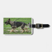 Étiquette À Bagage berger allemand sable marche (Devant horizontal)