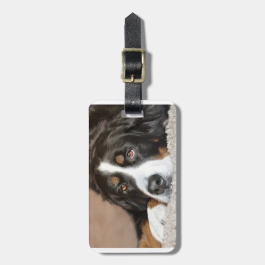 Étiquette À Bagage bernèse pondeuse (Devant Vertical)