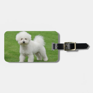 Étiquette À Bagage Bichon Frise