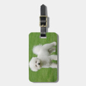 Étiquette À Bagage Bichon Frise (Devant Vertical)