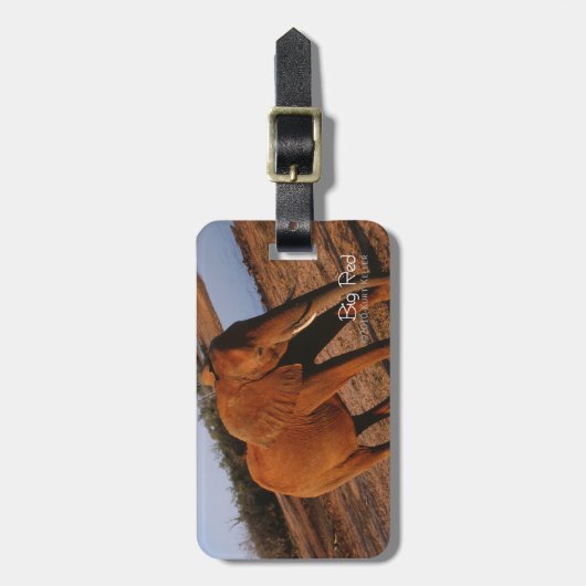 Étiquette À Bagage Big Red (Devant Vertical)