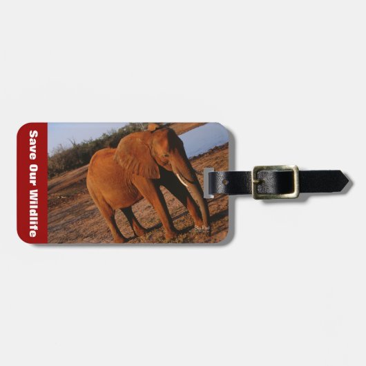 Étiquette À Bagage Big Red (Devant horizontal)