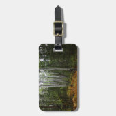 Étiquette À Bagage Birch Trees blancs et fougères d'automne à Rocky M (Devant Vertical)