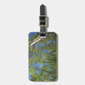 Étiquette À Bagage Birch Trees d'été à Rocky Mountain (Devant Vertical)