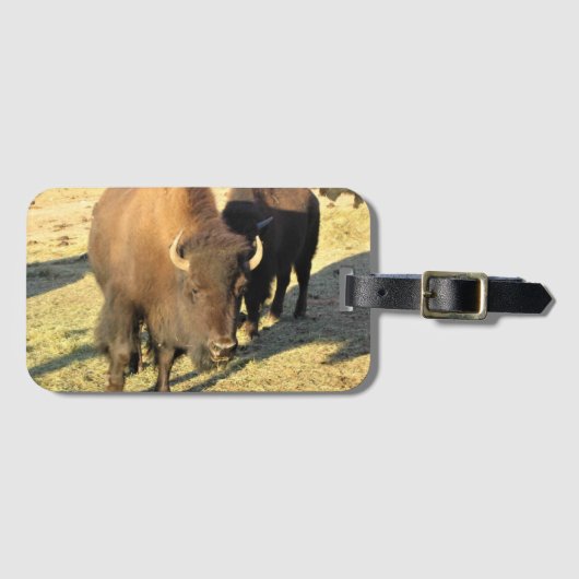 Étiquette À Bagage Bison dans le Colorado (Devant Horizontal)