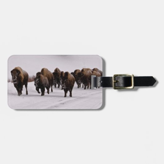 Étiquette À Bagage Bison en hiver (Devant horizontal)