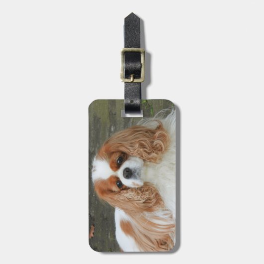 Étiquette À Bagage Blenheim Cavalier King Charles Puppy Chien (Devant Vertical)