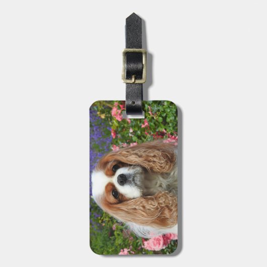 Étiquette À Bagage Blenheim Cavalier King Charles Spaniel Chien (Devant Vertical)