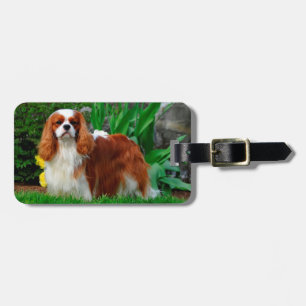 Étiquette À Bagage Blenheim Cavalier King Charles Spaniel Chien Chien
