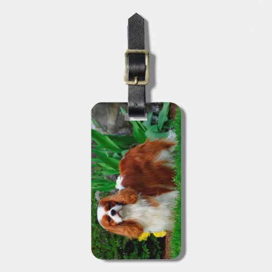 Étiquette À Bagage Blenheim Cavalier King Charles Spaniel Chien Chien (Devant Vertical)