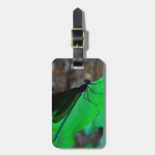 Étiquette À Bagage Blue Damselfly on a green leaf. (Devant Vertical)