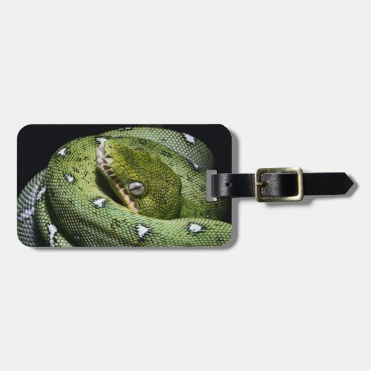 Étiquette À Bagage Boa vert de serpent vert d'arbre en Bolivie (Devant horizontal)