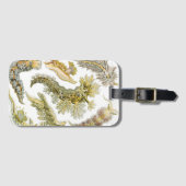 Étiquette À Bagage Boues de mer par Ernst Haeckel, Nudibranchia Vinta (Devant Horizontal)