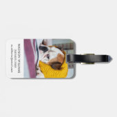 Étiquette À Bagage Bouledogue anglais des images | de Getty (Dos horizontal)