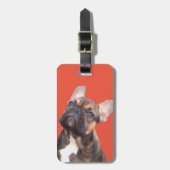Étiquette À Bagage Bouledogue français (Devant Vertical)