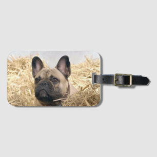 Étiquette À Bagage Bouledogue français dans la paille Bouledogue fran