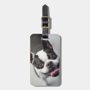 Étiquette À Bagage Bouledogue français des images de Getty