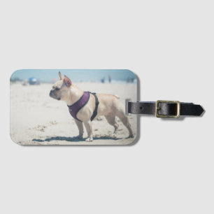 Étiquette À Bagage Bouledogue français sur la plage