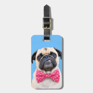 Étiquette À Bagage Bouledogue portant un nœud rose