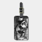 Étiquette À Bagage Boxer Chien sur Windowsill cd ltcnm (Devant Vertical)