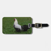 Étiquette À Bagage Brakel Hahn (Devant horizontal)