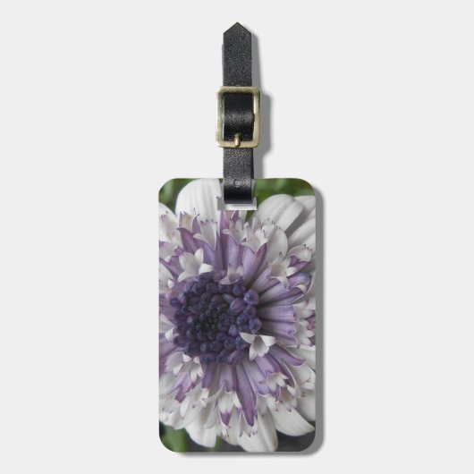 Étiquette À Bagage Brett (Devant Vertical)