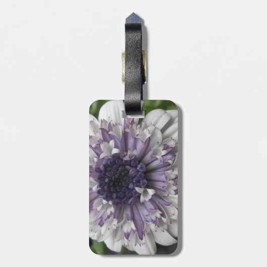 Étiquette À Bagage Brett (Dos Vertical)