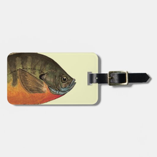 Étiquette À Bagage Brise de Bluegill (Devant horizontal)