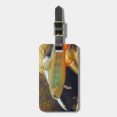 Étiquette À Bagage Brook Trout (Devant Vertical)