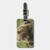 Étiquette À Bagage Brown bear ou Coastal Grizzly Bear, Ursus (Devant Vertical)