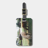 Étiquette À Bagage Brown Blond, Deux Chevaux Miniatures, "Little Pony (Devant Vertical)