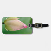 Étiquette À Bagage Bulbe Lily de l'eau non ouverte, Durban Botanique (Devant horizontal)