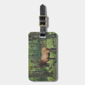 Étiquette À Bagage Bull Male Elk à autumn field (Devant Vertical)