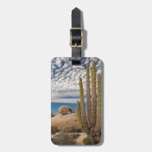 Étiquette À Bagage Cactus dans un paysage désertique