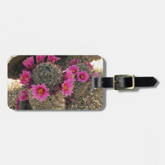 Étiquette À Bagage Cactus rose en fleur