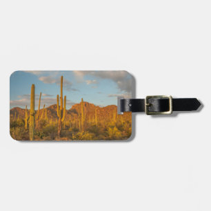 Étiquette À Bagage Cactus saguaro au coucher du soleil, Arizona