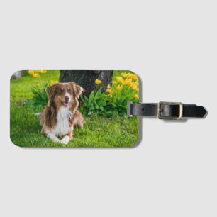 Étiquette À Bagage Cadeau Personnalisé avec Photo de Compagnon à Quat