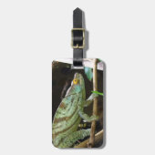 Étiquette À Bagage Calumma Parsonii (Devant Vertical)