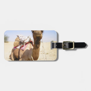 Étiquette À Bagage Camel Desert Moyen-Orient Paix Amour Nature Destin