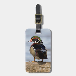 Étiquette À Bagage Canard branchu mâle sur une bûche dans une zone hu