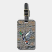 Étiquette À Bagage Canard de Drake en vol (Devant Vertical)