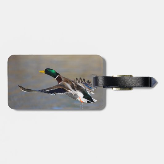Étiquette À Bagage canard en vol (Dos horizontal)