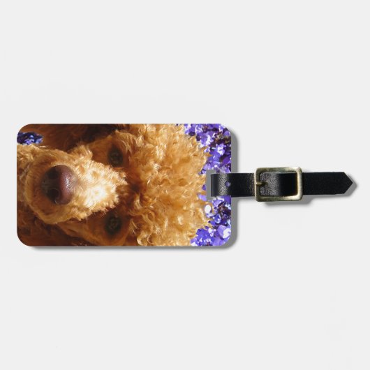 Étiquette À Bagage Caniche mignon (Devant horizontal)