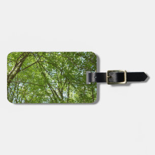 Étiquette À Bagage Canopée du printemps Feuille Green Nature Scene
