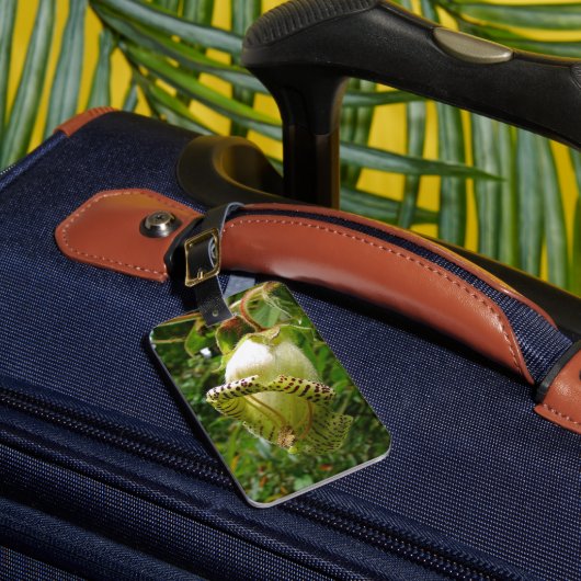 Étiquette À Bagage Capanea Grandiflora (Insitu Rectoal 1)