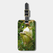 Étiquette À Bagage Capanea Grandiflora (Devant Vertical)