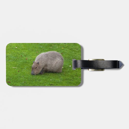 Étiquette À Bagage Capybara Animal Incroyable (Dos horizontal)